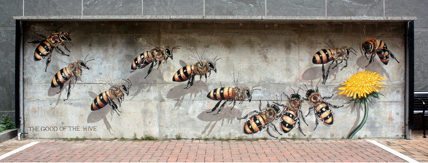 Artist Matt Willey of "The Good of the Hive" painted the mural, "The Bees’ Struggle to Survive," at the North Carolina Museum of Natural Sciences in Raleigh, NC. The Wright Center for Community Health is sponsoring one of his trademark murals in downtown Scranton.
